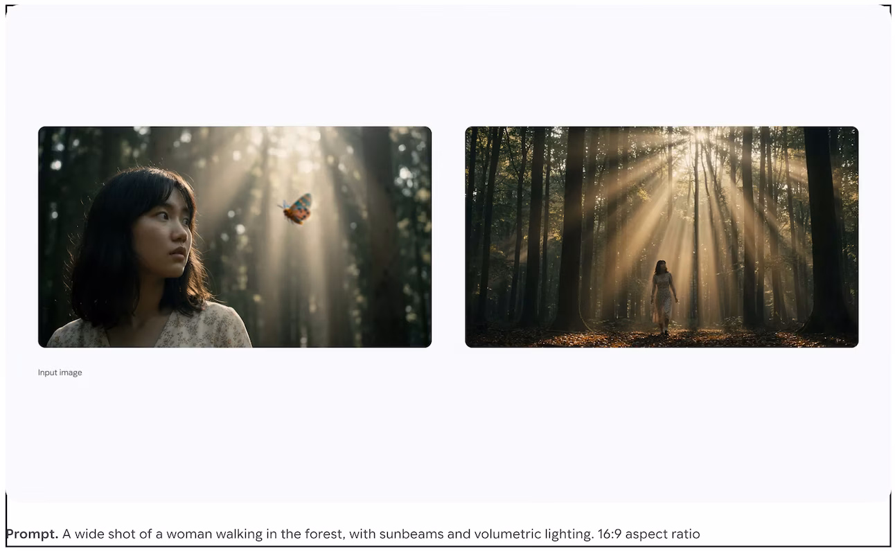 Studio-quality control over camera, light and format